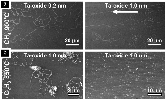 SEM images of typical growth results from (a) CH4-based and (b) C2H2-based CVD on SiO2 with varying CVD temperature and Ta-oxide thickness, as indicated in the figure. The arrow indicates process gas flow direction. Growth results are homogeneous across macroscopic samples.