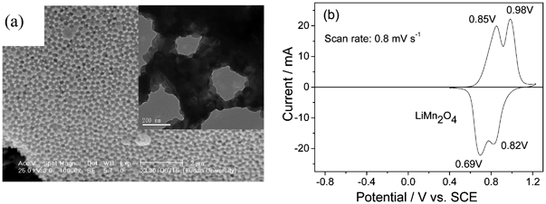 (a) SEM micrograph of the porous LiMn2O4 and (b) CV curve of the micrometer LiMn2O4 in the saturated Li2SO4 solution (modified from ref. 10b and 104).