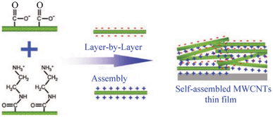 Layer-by-layer assembled MWCNT thin film with positively and negatively charged MWCNTs (modified from ref. 52a).