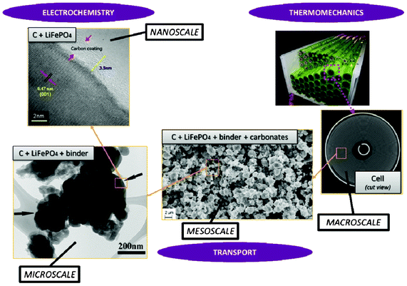 Schematics of the multiscale character of a LiFePO4 electrode in a LIB and physicochemical mechanisms.24 Schematics made with TEM and SEM pictures reported in ref. 25 (courtesy of X. Sun, University of Waterloo, Canada) and from the spiral battery tomography picture in ref. 26 (reprinted with permission of Elsevier).