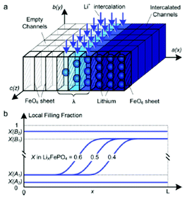 Schematic model of a LixFePO4 nanoparticle at low overpotential (a) lithium ions are inserted into the particle from the active (010) facet with fast diffusion and no phase separation in the depth (y) direction, forming a phase boundary of thickness lambda between full and empty channels (b) the resulting 1D concentration profile (local filling fraction) transverse to the FePO4 planes for a particle of size L. Reprinted with permission from ref. 167. Copyright 2011, American Chemical Society.