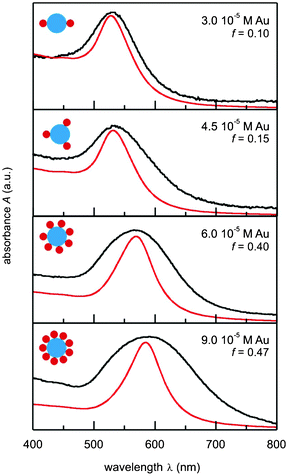 Comparison of the experimental (black) and theoretical (red) absorption spectra for the Au–glycogen colloids. Schematic representations of nanoparticle aggregates are provided in the insets.