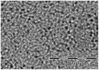 TEM image of composite 1.4% Fe2O3 in 9HL taken at room temperature.