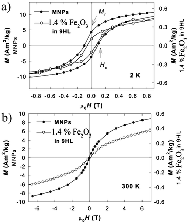 Hysteresis loops (a) in the blocked state at T = 2 K and (b) at T = 300 K for the MNPs (full symbols) and the sample containing 1.4% of Fe2O3 in 9HL (empty symbols). The left-side scale corresponds to the MNPs and the right-side to the composite. The magnetization isotherms recorded at 300 K are shown in order to demonstrate the superparamagnetic nature of the MNPs and the hybrid system.