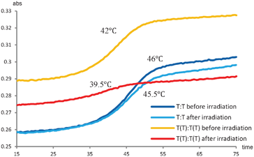 
            T
            m measurements before and after UV irradiation (254 nm) of the unmodified duplex (blue lines) and the (−3) TT/TT zipper duplex (orange and red lines).