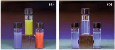 Preparation, characterization, and utilization of multi-functional 