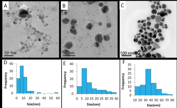 Typical TEM images of Ag–mint (A), Ag–ginger (B) and Ag–coffee (C) NPs and the size distribution histograms of Ag–mint (D), Ag–ginger (E) and Ag–coffee (F) generated using images (A–C) captured with a JEOL JSM 2010F.