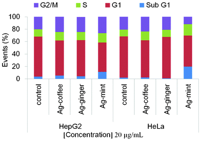 Cell cycle data for HeLa and HepG2 treated with 20 μg mL−1 Ag NPs for 24 h to detect the DNA damage of the cells. Markers were set at regions of interest (sub G1, G1, S, and G2/M), and the percentage of cells (events) under each area was generated using Summit V4.3.02 software. Histograms are included in Fig. S5, ESI.