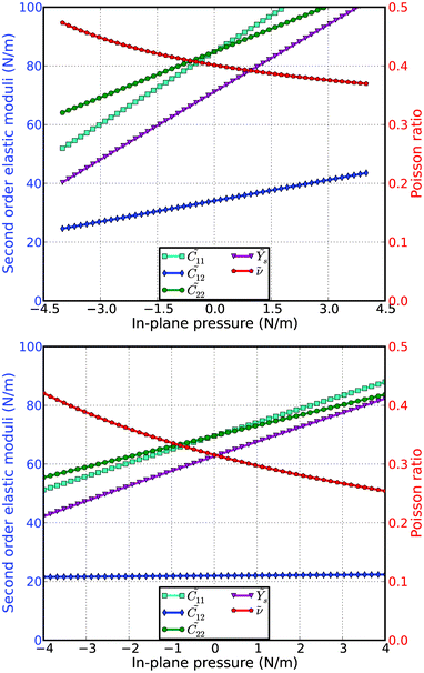 Second-order elastic moduli and Poisson ratio as function of the pressure for the g-Si (top) and b-Si (bottom) from DFT predictions.