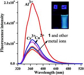 Change in the fluorescence intensity (λex = 290 nm, slit widths = 3/3) of receptor 1 (10 μM) upon addition of different metal salts (20 μM) in MeOH with 1% DMSO as a cosolvent at 25 °C. Inset: visual image taken under 366 nm UV-light of chemosensor 1 (50 μM) with Al3+ (50 μM).