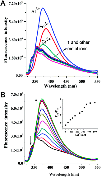 (A) Change in fluorescence intensity of receptor 1 (10 μM) upon addition of various metal salts (400 μM) in H2O (pH = 7.0) with 1% DMSO as a cosolvent at 25 °C (λex = 290 nm, slit width = 4/4). (B) Fluorescent titrations of chemosensor 1 (10 μM) with Al3+ in H2O, (buffered at pH = 7.0) with 1% DMSO as a cosolvent at 25 °C (λex = 290 nm, slit width 4/4). Inset: ratiometric fluorescence intensity [F375/F340] as function of Al3+ added.