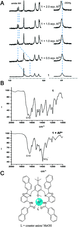 (A) 1H NMR spectra of chemosensor 1 upon addition of 0, 0.5, 1.0, 1.5, 2.0 equivalents of Al(NO3)3 in CD3CN; (B) IR spectra of chemosensor 1 in the presence and absence of Al3+; (C) putative binding mode based on the spectral data.