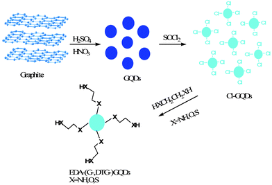 A schematic route of the synthesis of functionalized GQDs with selected diamines, glycols and dithioglycols.