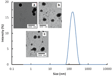 DLS size distribution for PEMP–PETA (1 : 1) nanoparticles. Inserts: TEM images of 1 : 1 (a), 1 : 2 (b) and 5 : 1 (c) PEMP–PETA nanoparticles.