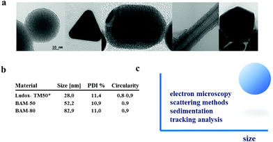 (a) NPs with different geometries investigated within BAM project “NanoTox”. From left to right: spherical silica, triangular silver, cylindrical gold, carbon nanotubes and icosahedral silver. (b) Nominal sizes of silica nanoparticles synthesized at the BAM as computed from TEM micrographs (results in supplementary section). All samples present high circularity. * From reference 44. (c) Comparable particle sizes for spherical nanoparticles like silica can be computed by at least four methods: electron microscopy, scattering methods like DLS and SAXS, tracking analysis techniques like NTA and sedimentation techniques like DCS.12,90 Low deviation between techniques can be attributed to particles monodispersity and high sphericity.