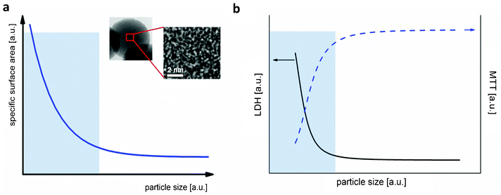 (a) Correlation between specific surface area and particle size for SNPs. Schematic plot based on data from Thomassen et al.95 The inset corresponds to high resolution TEM of amorphous silica prepared at BAM showing sub-nanometric pores. (b) Dependence of the toxicity of SNPs on mouse keratinocytes versus particle size. Schematic plot is based on data contained in the contribution from Yu et al.83 Transparent blue boxes represent the nanoscale regime (0–100 nm).