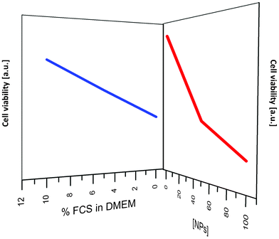 Decrease in cell viability caused by silica nanoparticles on 3T3 cells depending on serum and nanoparticles concentration; schematic plot based on XTT assay data by Drescher et al.25