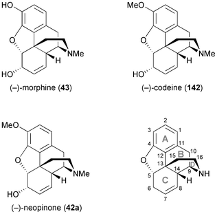 Structures of morphine (43), codeine (142) and neopinone (42a), and general ring denotation and atom numbering conventions for morphinan alkaloids.