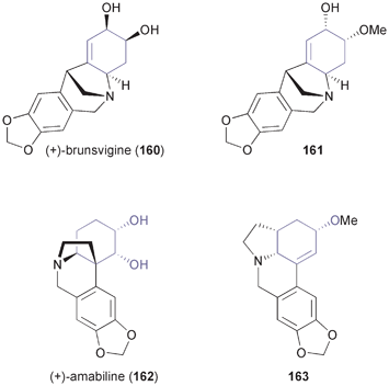 Examples of Amaryllidaceae alkaloids synthesised from TDO-derived building blocks.