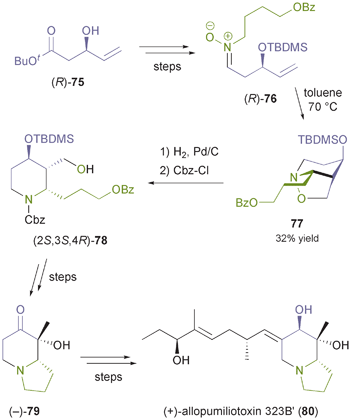Synthesis of (+)-allopumiliotoxin 323B′ (80) from the lipase-derived building block (R)-75.