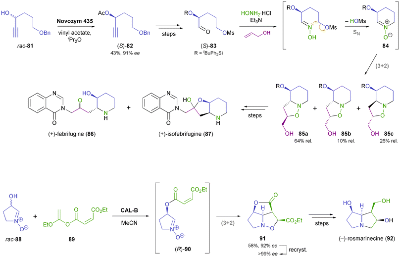 Cascade reactions involving nitrone–olefin (3 + 2)-cycloadditions in the chemo-enzymatic syntheses of (+)-febrifugine (86), (+)-isofebrifugine (87), and (−)-rosmarinecine (92).