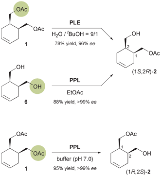 Options for the enantioselective preparation of building block 2 using hydrolases.
