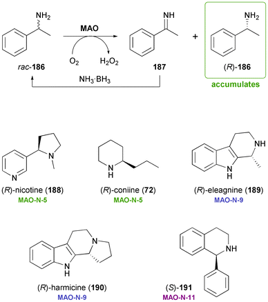 Chemo-enzymatic deracemisation of amines via MAO-catalysed oxidation illustrated with 1-phenylethylamine 186, and examples of alkaloids that have been obtained employing engineered variants of MAO-N.