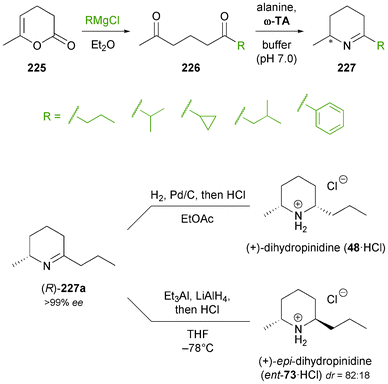Regioselective asymmetric mono-amination of 1,5-diketones 226 catalysed by ω-transaminases, and its application to the chemo-enzymatic synthesis of dihydropinidine (48) and epi-dihydropinidin (ent-73).