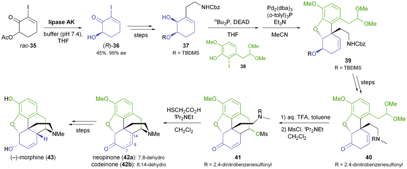 Fukuyama's chemo-enzymatic total synthesis of (−)-morphine (43).