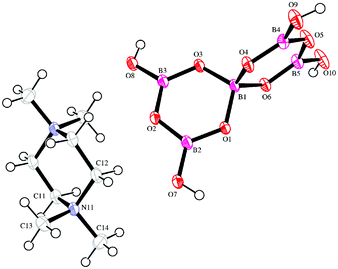 ORTEP drawing of ions present in [Me2N(CH2CH2)2NMe2][B5O6(OH)4]2 (2d) showing atomic numbering scheme.