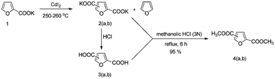 Schematic representation of the synthesis of 2,5-FDCA 3a, 2,4-FDCA 3b and its corresponding dimethyl esters 4a,b.