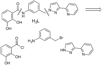 The new ligand H2L and the main disconnections involved in its synthesis.