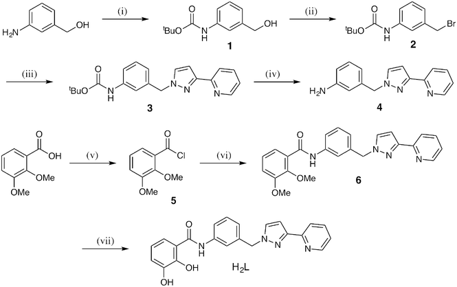 Synthesis of H2L, (i) Boc2O, THF; (ii) CBr4, PPh3, THF; (iii) 3-(2-pyridyl)-1H-pyrazole, NaOH(aq), THF; (iv) trifluoroacetic acid, CH2Cl2; (v) SOCl2, DMF; (vi) 4, CH2Cl2, Et3N; (vii) BBr3, CH2Cl2, H2O.