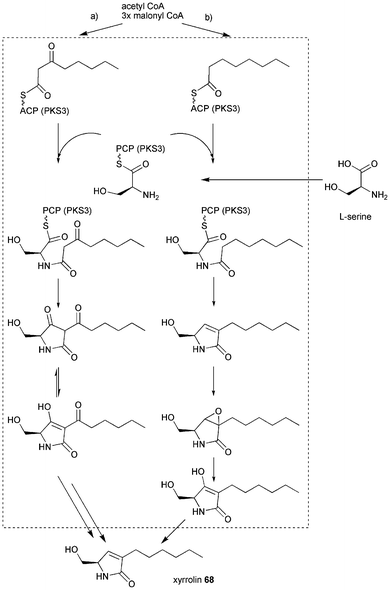 Proposed biosynthesis of xyrrolin 68.