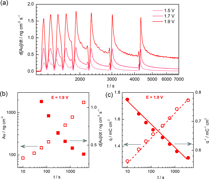 Time scale effect on gold dissolution and oxidation. (a) Dissolution profiles of gold vs. time under different polarization potential (see figure legend). (b) Corresponding dependence of the total amount of dissolved gold (open symbols) and rate of dissolution at the end of each step (filled symbols) on polarization time. (c) Charge associated to the oxidation of gold as a function of polarization time. For the sake of clearness, only data for E = 1.9 VRHE are presented in (b) and (c).