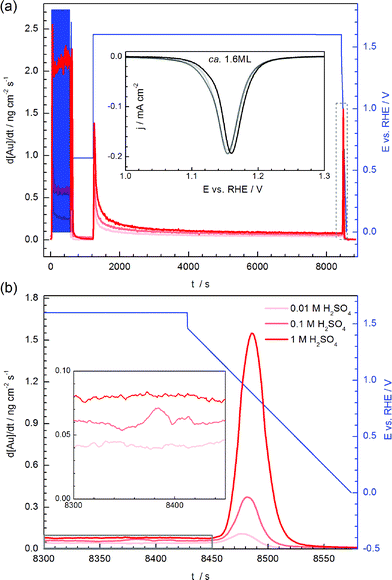 (a) Dissolution of gold in three electrolytes during potentiodynamic conditions. Corresponding reductive linear-sweep voltammograms are shown in the inset. (b) The magnified views of the dissolution profile at last minutes of the steady-state dissolution and during dissolution in the cathodic route. Higher magnification of the area highlighted with a gray box is shown in the inset.