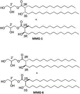 Comparison of the two possible relative configurations of MMG analogues, exemplified by MMG-1 (alternative configuration) and MMG-6 (native configuration). The alternative compounds display (2R,3S) and (2S,3R) configurations in a 1 : 1 ratio in the lipid acid moieties while the native compounds contain lipid acid moieties displaying (2R,3R) and (2S,3S) configurations. The depicted alkyl chain length is C14/C15.