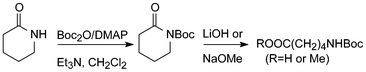 Conversion of a lactam to corresponding Boc-δ-amino acid or methyl ester.6