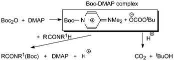 The Boc-DMAP complex and its reaction products with RCONR1H.