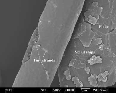 Magnified view of a single fibre grown from graphite particles attached to its surface under N2–CO2 incubation.