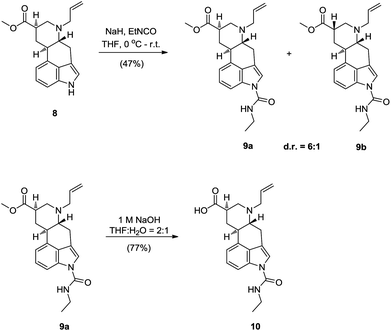 Direct synthesis of the key 9,10-dihydrolysergic acid 10—functionalization of the 9,10-dihydrolysergic acid methyl ester 8.