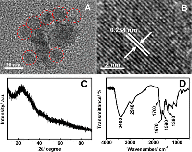 Typical TEM image (A), HRTEM image (B), XRD pattern (C), and FTIR spectra (D) of the FNCPs.