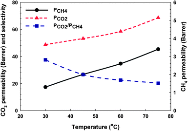 CO2 and CH4 permeability and ideal selectivity of 6FOD(11) + 2%-NH2-M-30% membrane as a function of temperature. The lines are general trends.