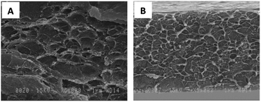 SEM micrographs of (A) 6FOD(11)-NH2-M-10%; and (B) 6FOD(14)-NH2-M-15%.