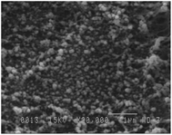 SEM micrograph of 6FOD(11) + 2% with 15 wt% MIL-53(Al).