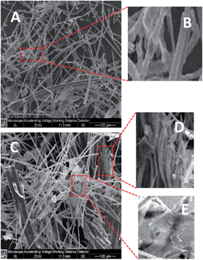 SEM Images of pure feather keratin CF (A) with a magnified region (B) and the modified keratin MCF-III (C) with magnifications (D) and (E).