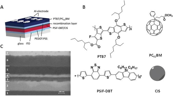 (A) Device architecture of the hybrid–organic tandem solar cell; (B) corresponding chemical structures of the absorber layers; (C) SEM image of an ion milled cross section: 1: glass, 2: ITO, 3: PEDOT:PSS, 4: PSiF-DBT/CIS, 5: PEDOT:PSS & PTB7/PCBM, 6: Al electrode, 7: protection layer.