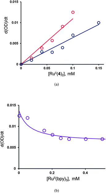 Effect of [RuII(4)2] (a) and [RuII(bpy)3] (b) on initial rate of [RuIII(bpy)3] decomposition measured as the rate of decrease of absorbance at 670 nm, pH 9.0, 80 mM borate buffer. Initial concentrations: 0.45 mM [RuIII(bpy)3] (a and b), 5.610−5 M [RuII(bpy)3] (a), 2 × 10−6 M [RuII(bpy)3] (b), 0.08 mM [RuII(4)2] (b).