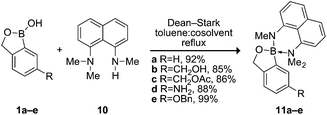 Protection of benzoxaborole derivatives.