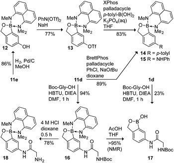 Synthetic evaluation of protected benzoxaborole derivatives; yields are isolated but not optimized.